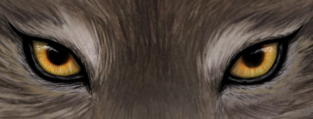 wolf_eyes___detail_by_haloghost-d49p4ee