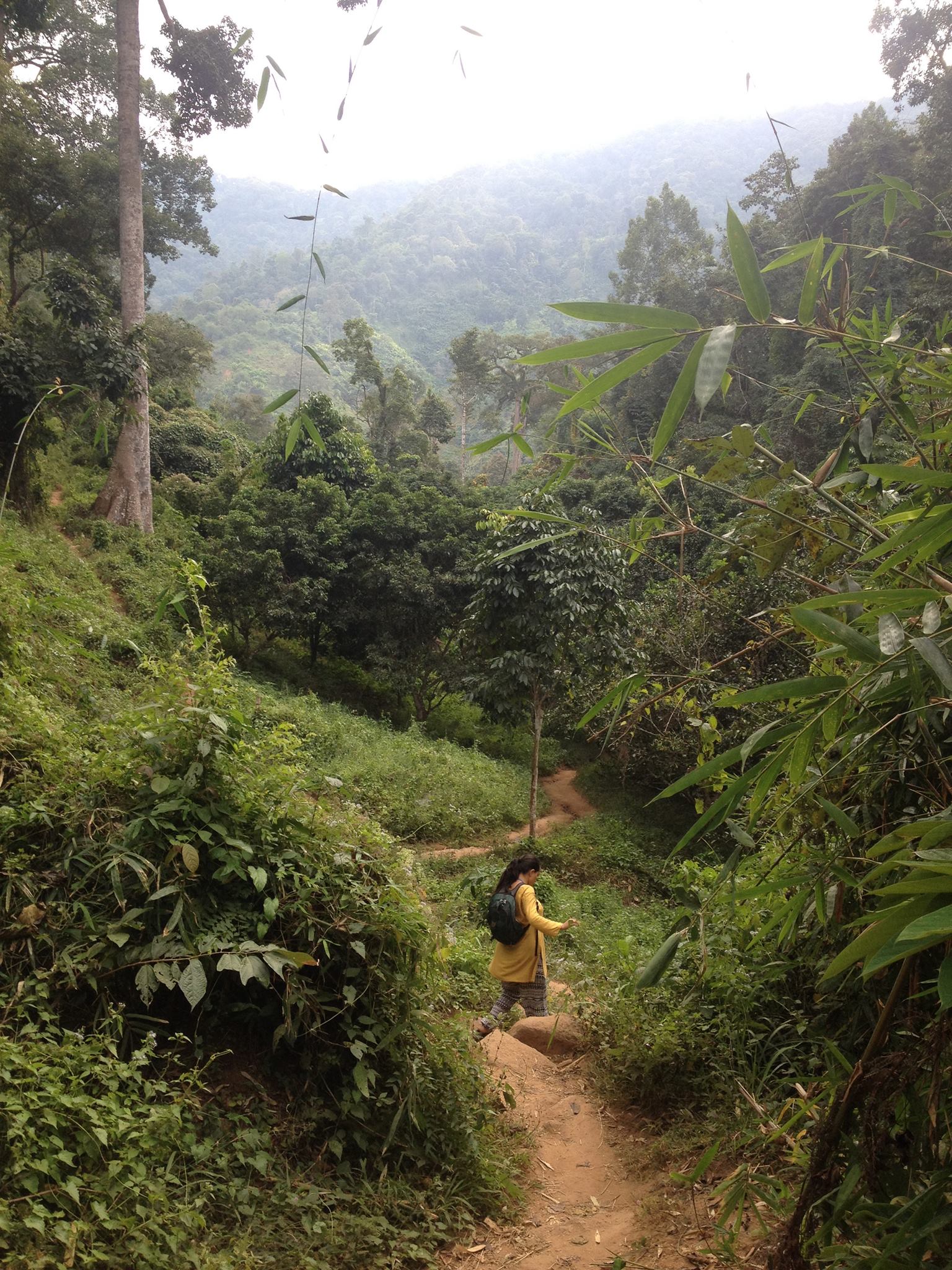 10818427_2650781388750_7044696853155600203_o